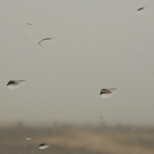 Regen in der Wüste Marokkos